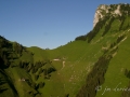 Aerial pictures