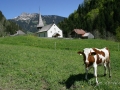Gruyere-091.jpg