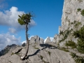 La_Gruyere-57.jpg