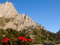 La_Gruyere-86.jpg