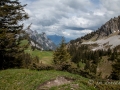 _MG_6390.jpg