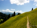 Autour de la Wandfluh-16.jpg