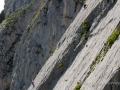 Autour de la Wandfluh-3.jpg