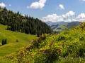 Autour de la Wandfluh-46.jpg