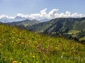 Autour de la Wandfluh-54.jpg