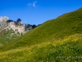 Autour de la Wandfluh-56.jpg