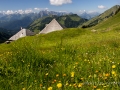 Autour de la Wandfluh-57.jpg