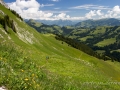 Autour de la Wandfluh-8.jpg