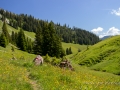 Autour de la Wandfluh-86.jpg