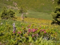 Autour de la Wandfluh-90.jpg