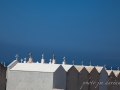 Corse 2015-127.jpg
