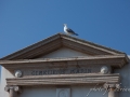 Corse 2015-131.jpg