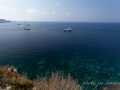 Corse 2015-139.jpg