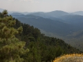 Corse 2015-174.jpg