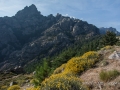 Corse 2015-86.jpg