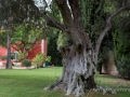 Lumie_res du Portugal-120.jpg