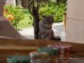Lumie_res du Portugal-91.jpg