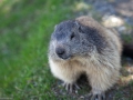 Parc Merlet 2013--85.jpg
