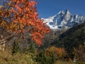 lumie_re d_automne-15.jpg