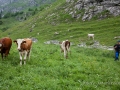 Monte_e aux alpages-20.jpg