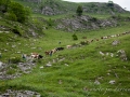 Monte_e aux alpages-22.jpg