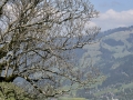 Patraflon-au-Lac-Noir-11