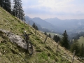 Patraflon-au-Lac-Noir-2
