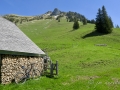 Patraflon-au-Lac-Noir-7