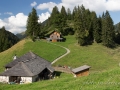 Vie en alpage-1.jpg