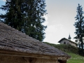 Vie en alpage-22.jpg