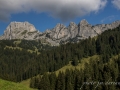 Vie en alpage-4.jpg
