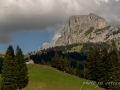Vie en alpage-5.jpg