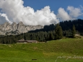 Vie en alpage-7.jpg