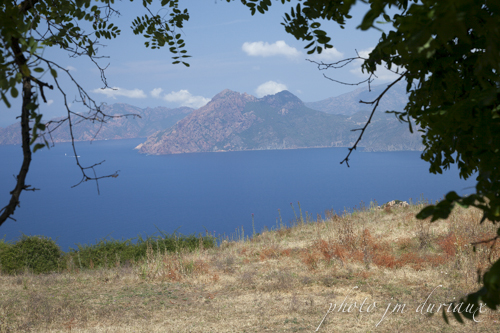 Tour de Corse-100