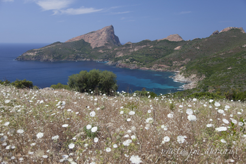Tour de Corse-109