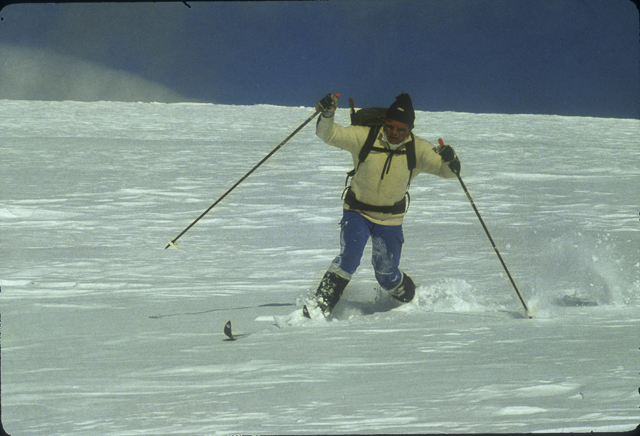 Telemark technique