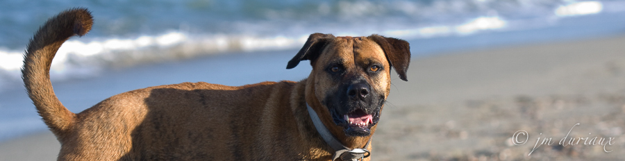 Océane_portrait_Corse_09-32