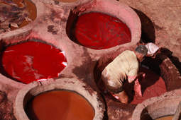 Tanneries Fès, Tannery Fès