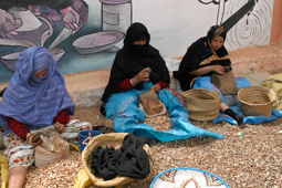 Tafyoucht, coopérative de femmes, récolte des amandes.