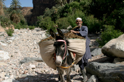 Entrée dans les gorges d' Amtoudi